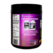 Load image into Gallery viewer, REGEN X