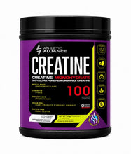 Load image into Gallery viewer, Creatine Monohydrate 100 Servings 500gr
